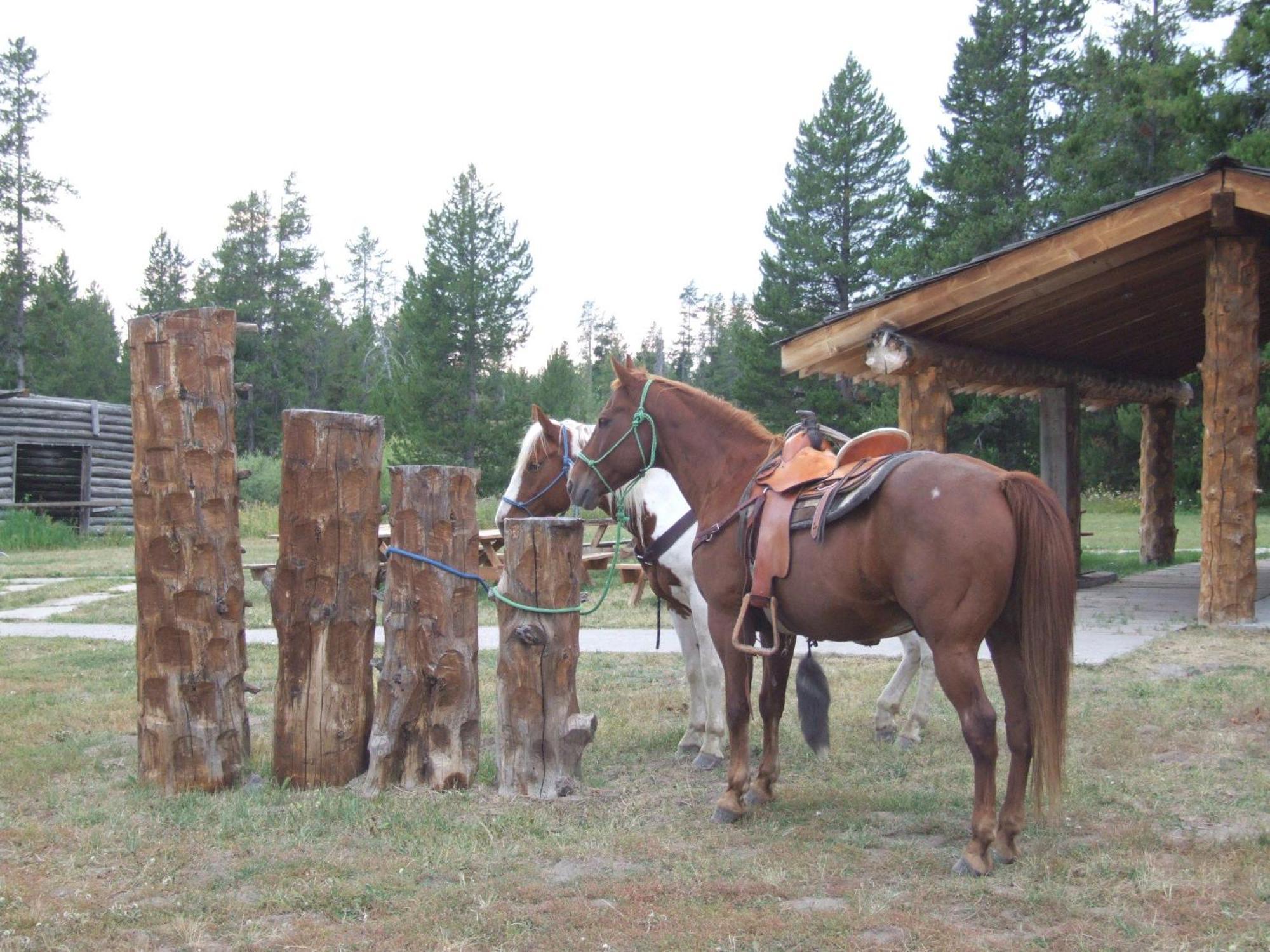 Vila Eagle Ridge Ranch Island Park Exteriér fotografie