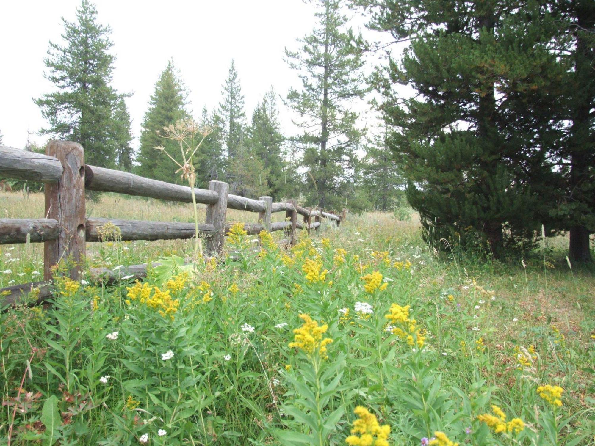 Vila Eagle Ridge Ranch Island Park Exteriér fotografie